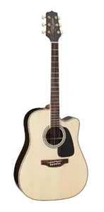 Takamine GD51CE Takamine GD51CE