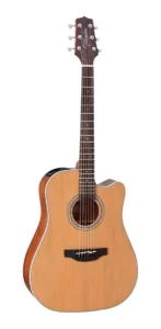 Takamine GD20CE Takamine GD20CE
