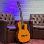 Violões Takamine: Guia Completo